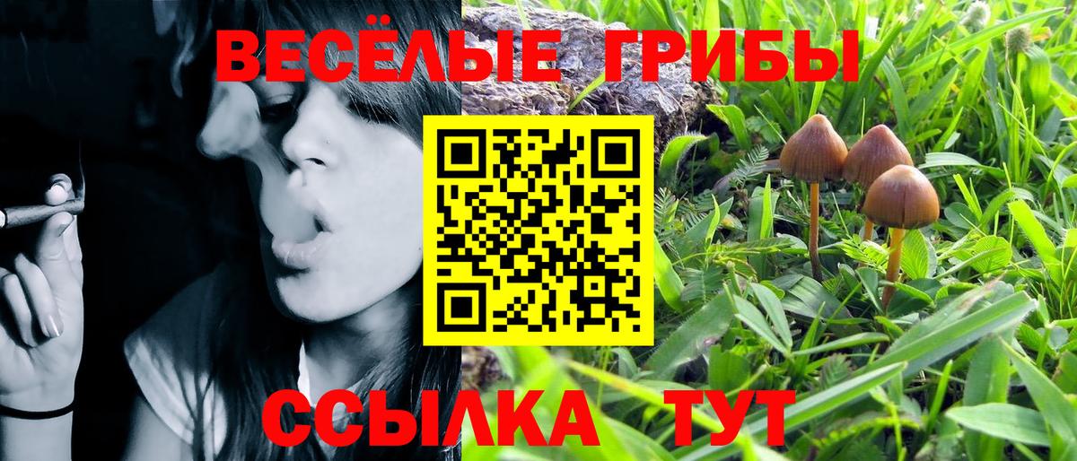 Псилоцибиновые грибы GOLDEN TEACHER  Галлюциногенные грибы MAGIC MUSHROOMS  Рубцовск  Вход с VPN 